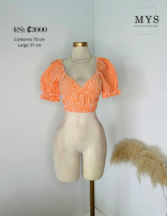 Blusa