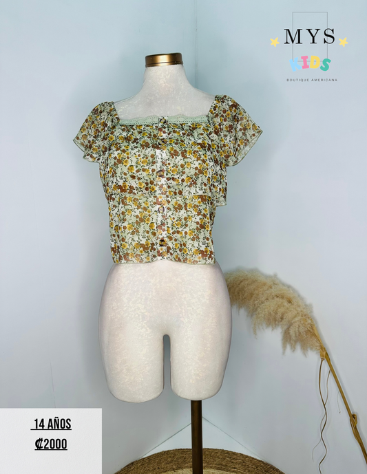 Blusa