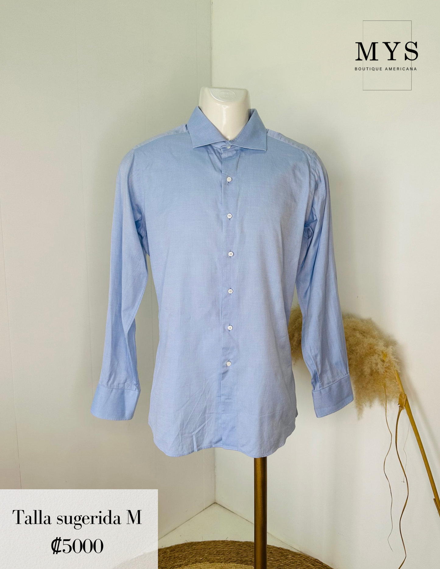 Camisa