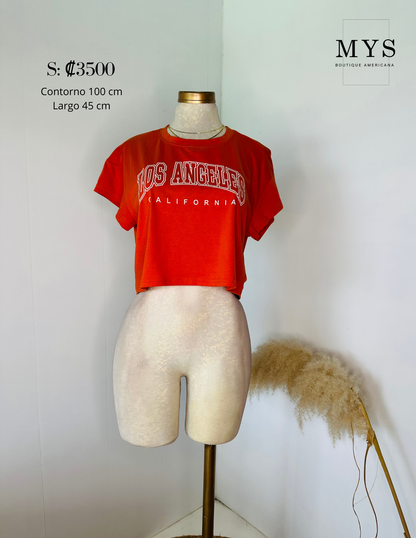 Blusa