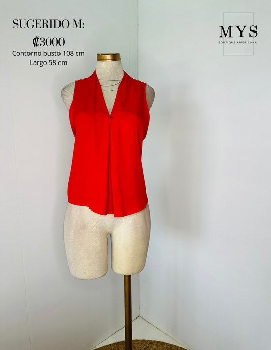 Blusa