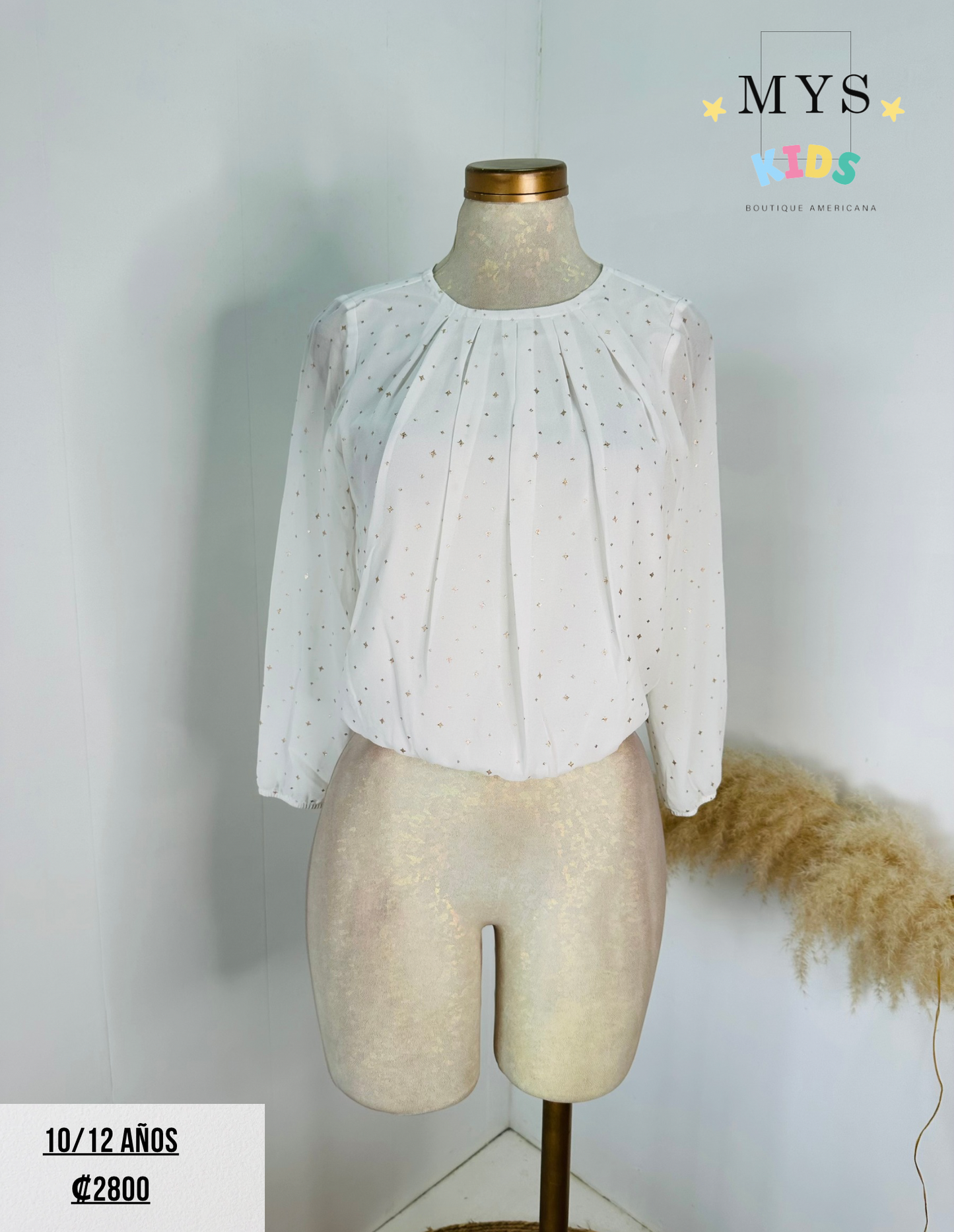 Blusa