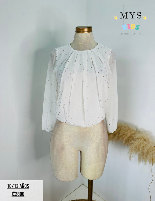 Blusa