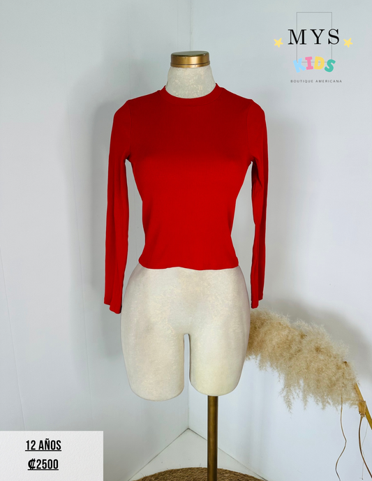 Blusa