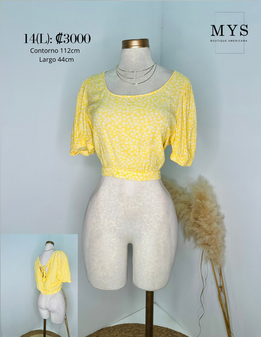 Blusa