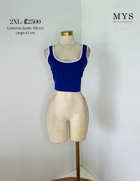 Blusa