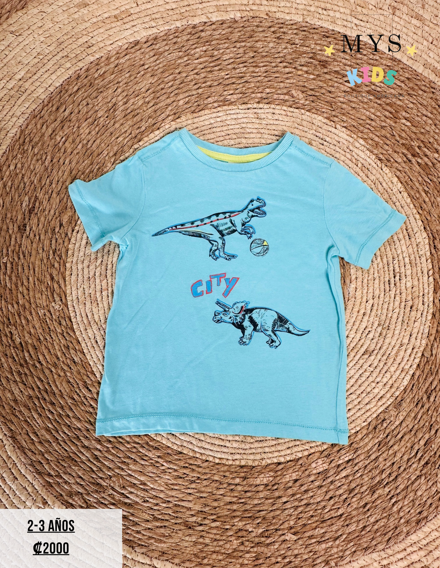 Camisa