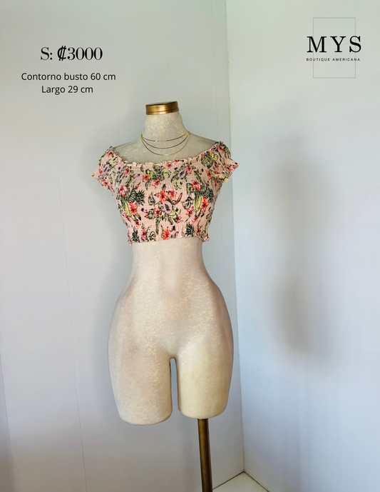Blusa
