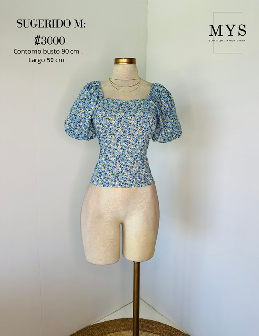 Blusa