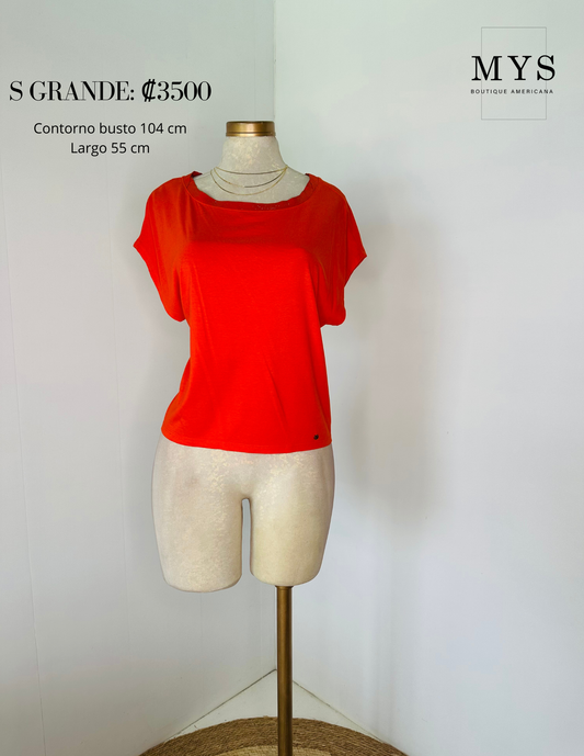 Blusa