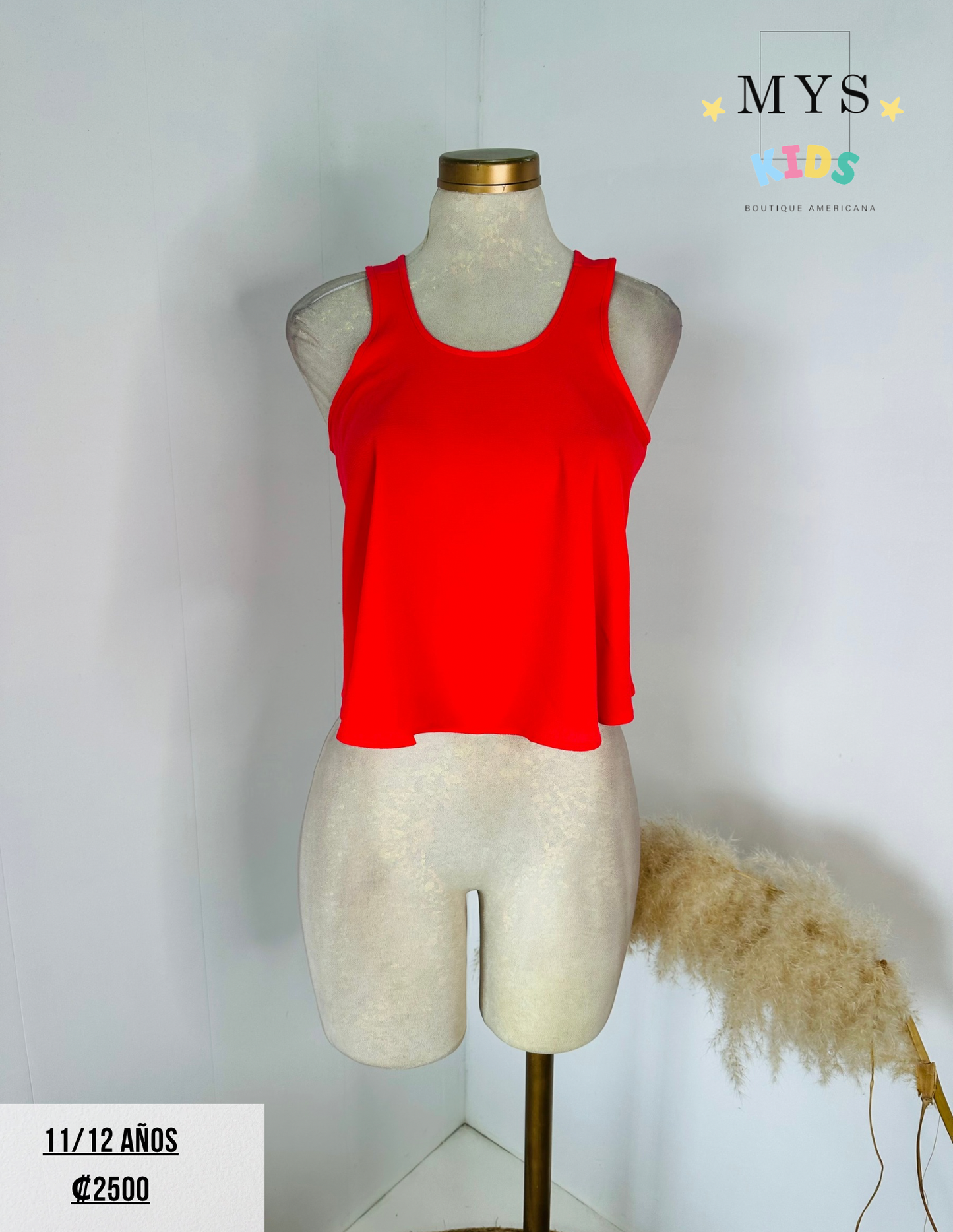 Blusa