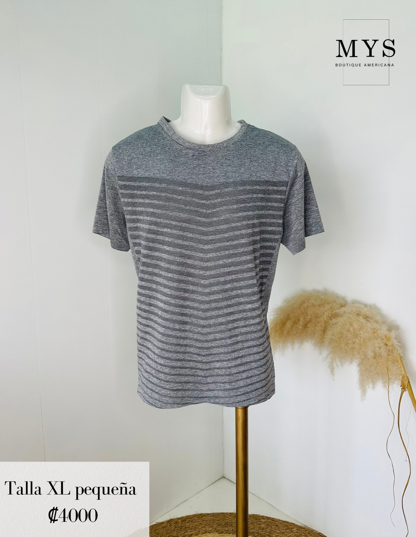 Camisa