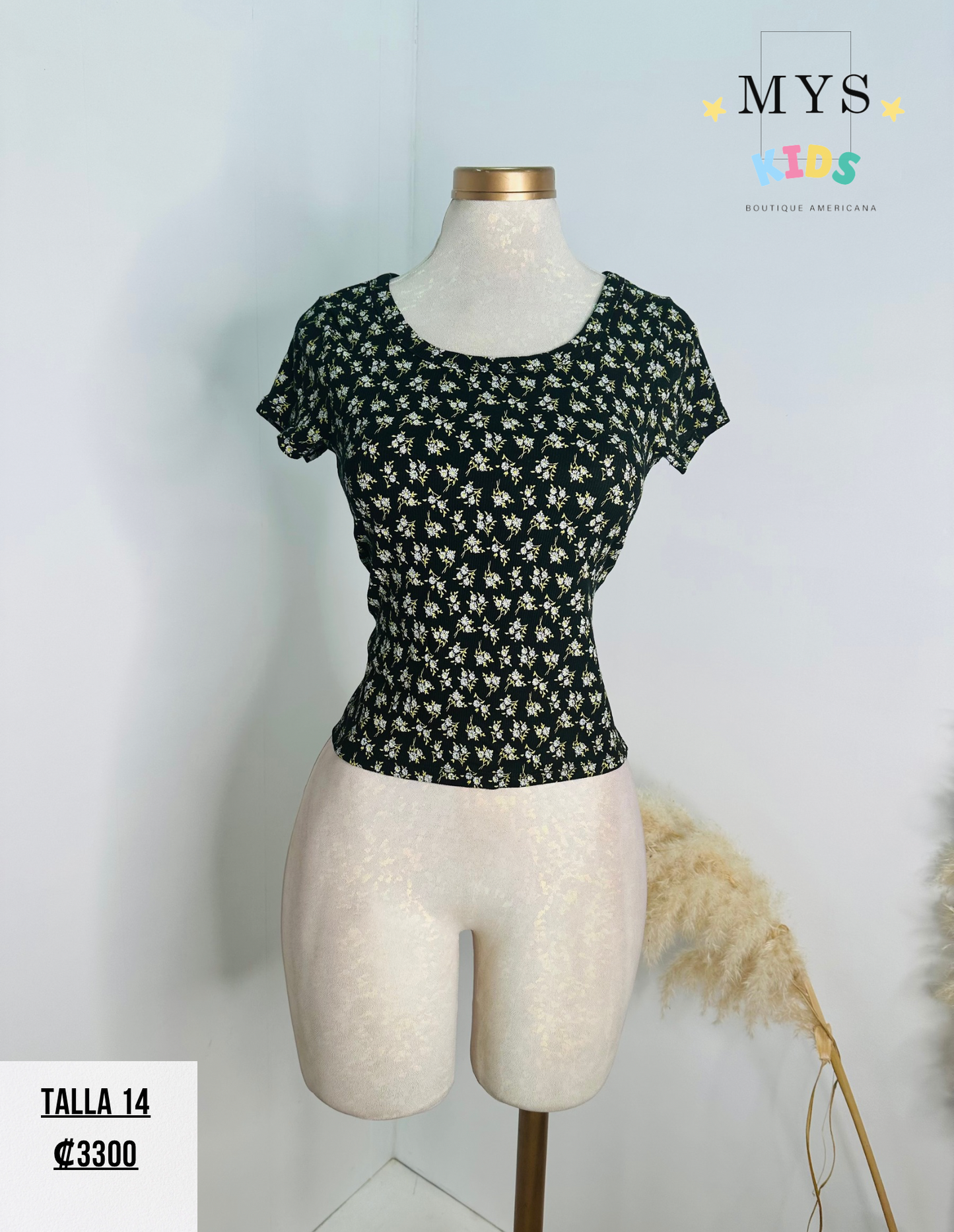 Blusa